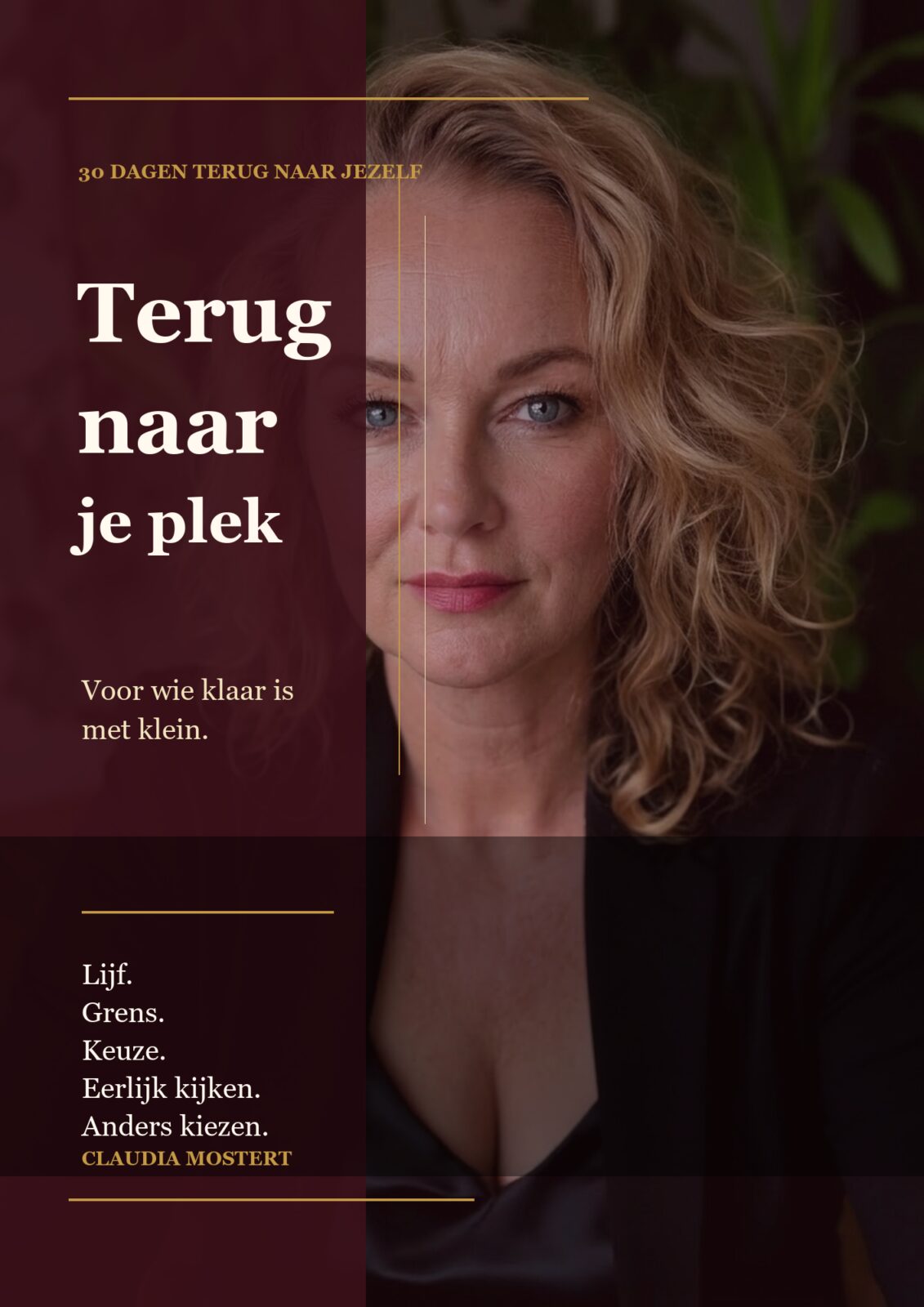 Cover afbeelding van het werkboek Terug naar je plek.